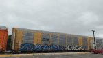 NS 49436 (Body) TTGX 691520 (Flat)